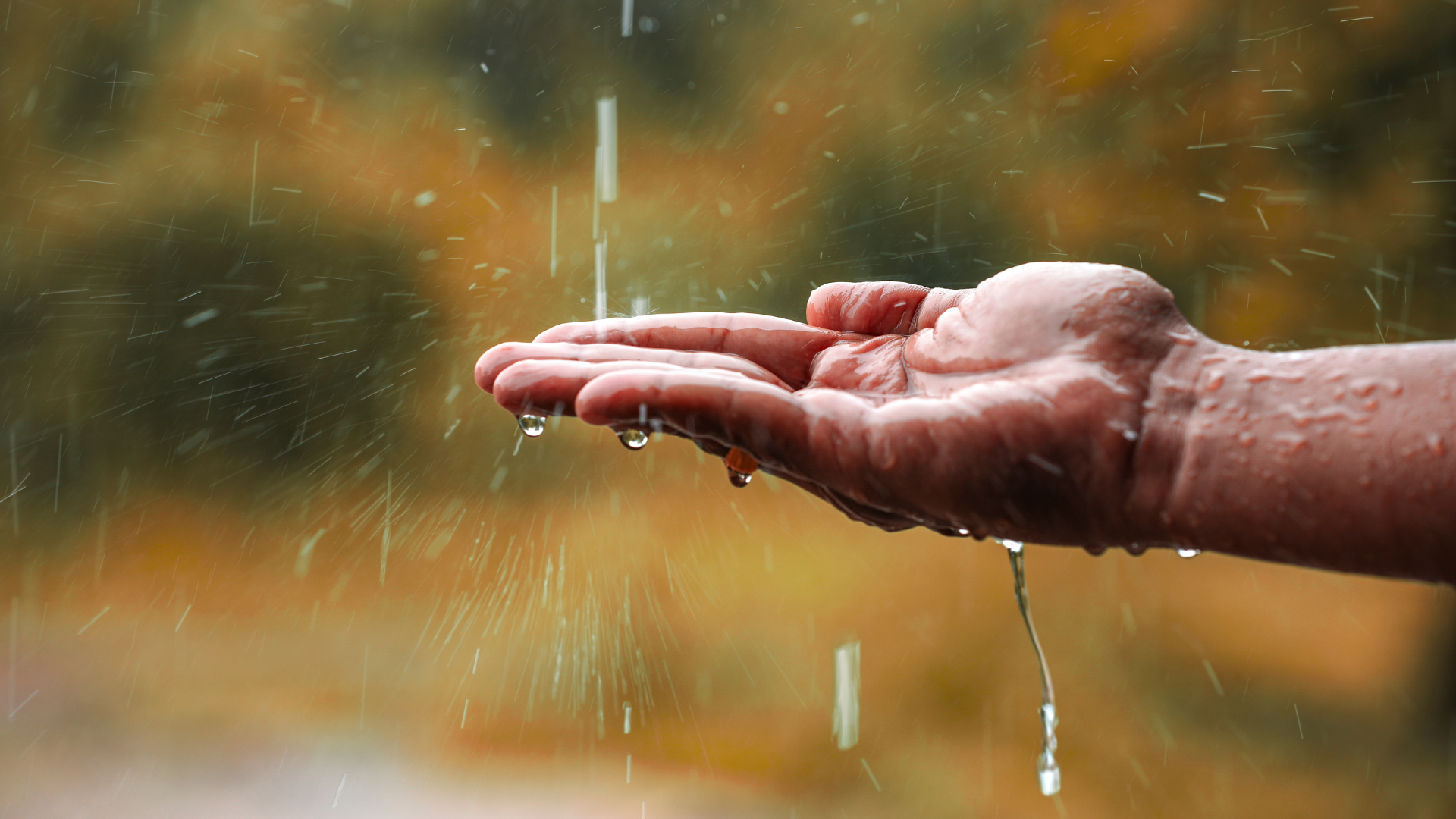 Precipitazione atmosferica: acqua piovana